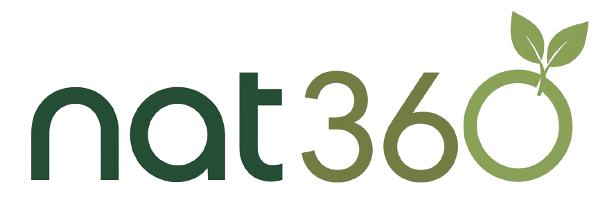 NAT360 Logo